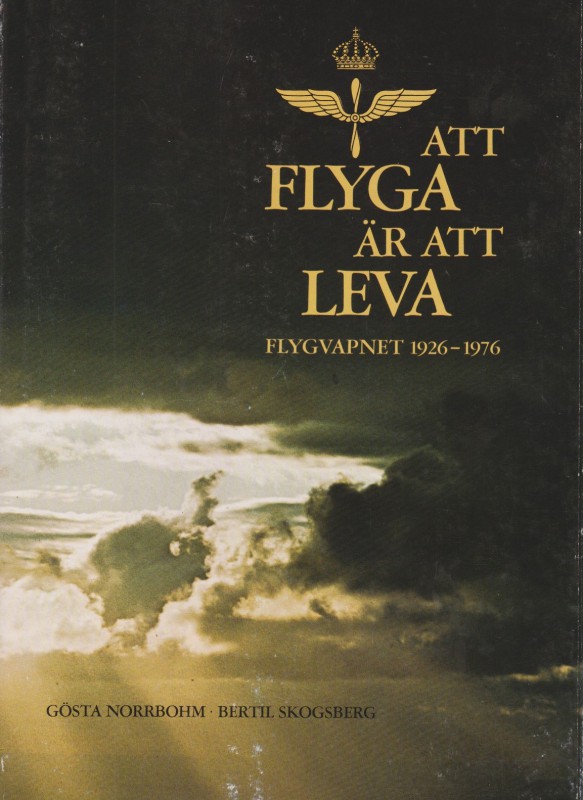 Att flyga 1.jpg