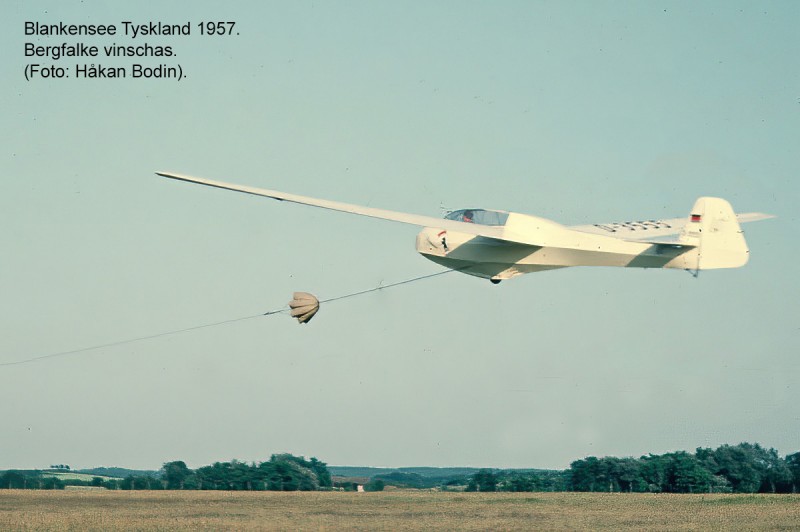 Blankensee Tyskland 1957. Bergfalke vinschas.jpg