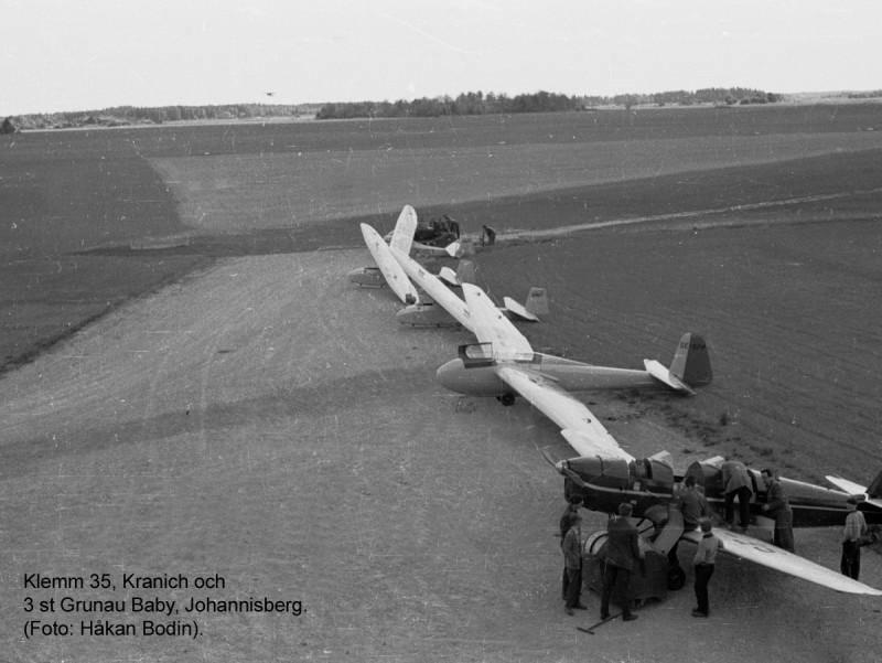 Kranich och 3 st Gr Baby, Johannisberg.jpg